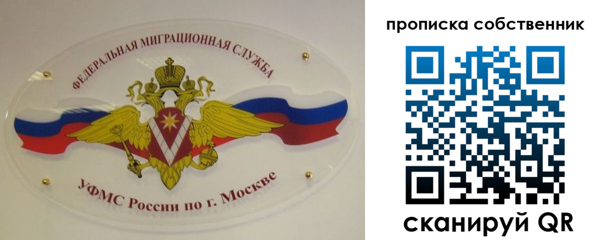 прописка 2025 в Называевске